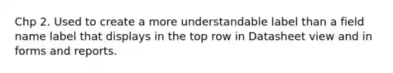 Chp 2. Used to create a more understandable label than a field name label that displays in the top row in Datasheet view and in forms and reports.