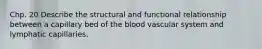 Chp. 20 Describe the structural and functional relationship between a capillary bed of the blood vascular system and lymphatic capillaries.