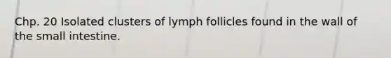 Chp. 20 Isolated clusters of lymph follicles found in the wall of the small intestine.