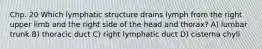 Chp. 20 Which lymphatic structure drains lymph from the right upper limb and the right side of the head and thorax? A) lumbar trunk B) thoracic duct C) right lymphatic duct D) cisterna chyli