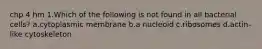 chp 4 hm 1.Which of the following is not found in all bacterial cells? a.cytoplasmic membrane b.a nucleoid c.ribosomes d.actin-like cytoskeleton