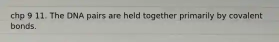 chp 9 11. The DNA pairs are held together primarily by covalent bonds.