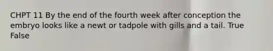 CHPT 11 By the end of the fourth week after conception the embryo looks like a newt or tadpole with gills and a tail. True False