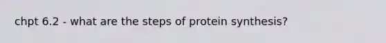 chpt 6.2 - what are the steps of protein synthesis?