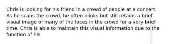 Chris is looking for his friend in a crowd of people at a concert. As he scans the crowd, he often blinks but still retains a brief visual image of many of the faces in the crowd for a very brief time. Chris is able to maintain this visual information due to the function of his