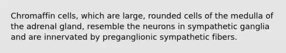 Chromaffin cells, which are large, rounded cells of the medulla of the adrenal gland, resemble the neurons in sympathetic ganglia and are innervated by preganglionic sympathetic fibers.