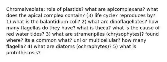 Chromalveolata: role of plastids? what are apicomplexans? what does the apical complex contain? (3) life cycle? reproduces by? 1) what is the balantidium coli? 2) what are dinoflagellates? how many flagellas do they have? what is theca? what is the cause of red water tides? 3) what are stramenpiles (chrysophytes)? found where? its a common what? uni or multicellular? how many flagella? 4) what are diatoms (ochraphytes)? 5) what is protothecosis?