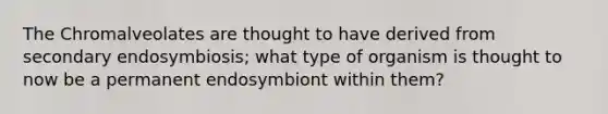 The Chromalveolates are thought to have derived from secondary endosymbiosis; what type of organism is thought to now be a permanent endosymbiont within them?