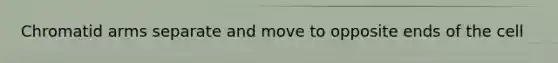 Chromatid arms separate and move to opposite ends of the cell