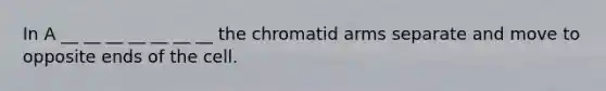 In A __ __ __ __ __ __ __ the chromatid arms separate and move to opposite ends of the cell.