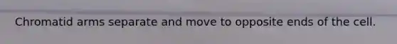 Chromatid arms separate and move to opposite ends of the cell.