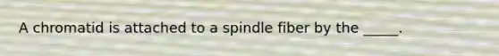 A chromatid is attached to a spindle fiber by the _____.