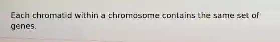 Each chromatid within a chromosome contains the same set of genes.