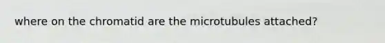 where on the chromatid are the microtubules attached?