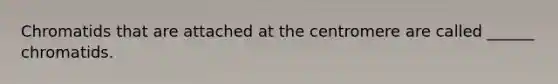 Chromatids that are attached at the centromere are called ______ chromatids.