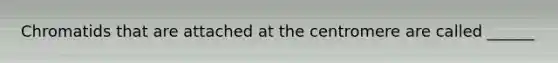 Chromatids that are attached at the centromere are called ______