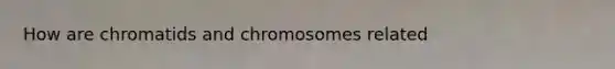 How are chromatids and chromosomes related