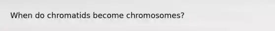 When do chromatids become chromosomes?