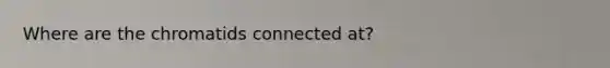 Where are the chromatids connected at?