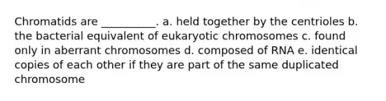 Chromatids are __________. a. held together by the centrioles b. the bacterial equivalent of eukaryotic chromosomes c. found only in aberrant chromosomes d. composed of RNA e. identical copies of each other if they are part of the same duplicated chromosome