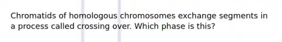 Chromatids of homologous chromosomes exchange segments in a process called crossing over. Which phase is this?