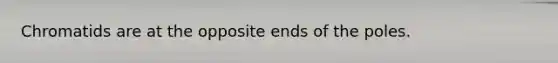 Chromatids are at the opposite ends of the poles.