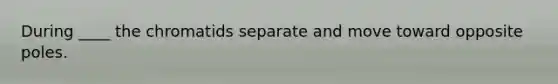 During ____ the chromatids separate and move toward opposite poles.