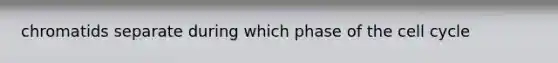 chromatids separate during which phase of the cell cycle