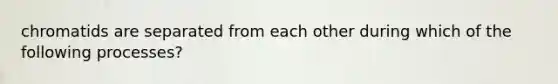 chromatids are separated from each other during which of the following processes?