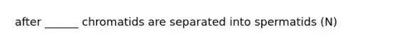 after ______ chromatids are separated into spermatids (N)