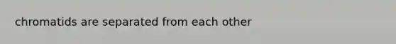 chromatids are separated from each other