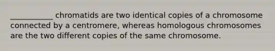 ___________ chromatids are two identical copies of a chromosome connected by a centromere, whereas homologous chromosomes are the two different copies of the same chromosome.