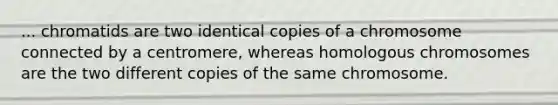 ... chromatids are two identical copies of a chromosome connected by a centromere, whereas homologous chromosomes are the two different copies of the same chromosome.