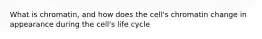 What is chromatin, and how does the cell's chromatin change in appearance during the cell's life cycle