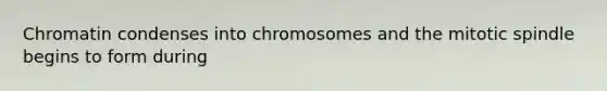 Chromatin condenses into chromosomes and the mitotic spindle begins to form during