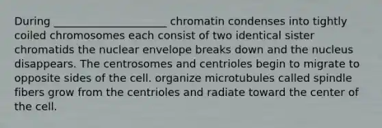 During _____________________ chromatin condenses into tightly coiled chromosomes each consist of two identical sister chromatids the nuclear envelope breaks down and the nucleus disappears. The centrosomes and centrioles begin to migrate to opposite sides of the cell. organize microtubules called spindle fibers grow from the centrioles and radiate toward the center of the cell.