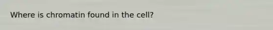 Where is chromatin found in the cell?