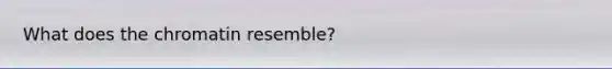 What does the chromatin resemble?