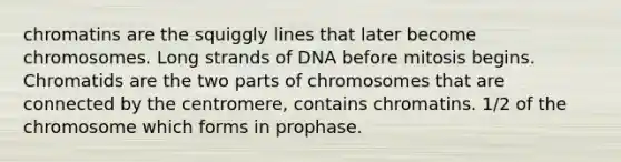 chromatins are the squiggly lines that later become chromosomes. Long strands of DNA before mitosis begins. Chromatids are the two parts of chromosomes that are connected by the centromere, contains chromatins. 1/2 of the chromosome which forms in prophase.