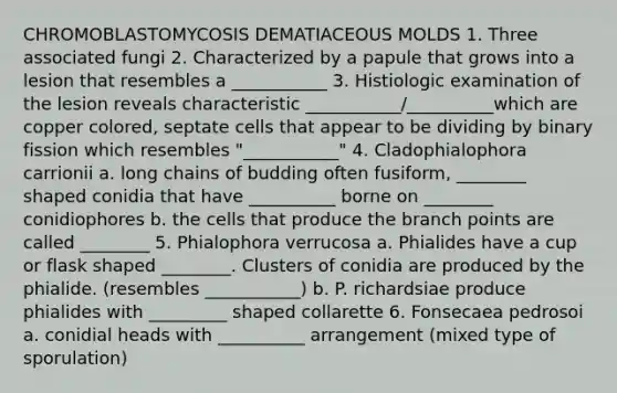 CHROMOBLASTOMYCOSIS DEMATIACEOUS MOLDS 1. Three associated fungi 2. Characterized by a papule that grows into a lesion that resembles a ___________ 3. Histiologic examination of the lesion reveals characteristic ___________/__________which are copper colored, septate cells that appear to be dividing by binary fission which resembles "___________" 4. Cladophialophora carrionii a. long chains of budding often fusiform, ________ shaped conidia that have __________ borne on ________ conidiophores b. the cells that produce the branch points are called ________ 5. Phialophora verrucosa a. Phialides have a cup or flask shaped ________. Clusters of conidia are produced by the phialide. (resembles ___________) b. P. richardsiae produce phialides with _________ shaped collarette 6. Fonsecaea pedrosoi a. conidial heads with __________ arrangement (mixed type of sporulation)