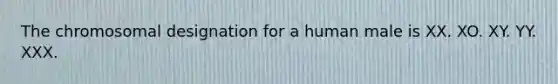 The chromosomal designation for a human male is XX. XO. XY. YY. XXX.