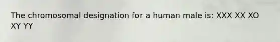 The chromosomal designation for a human male is: XXX XX XO XY YY