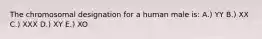 The chromosomal designation for a human male is: A.) YY B.) XX C.) XXX D.) XY E.) XO