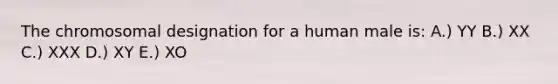 The chromosomal designation for a human male is: A.) YY B.) XX C.) XXX D.) XY E.) XO