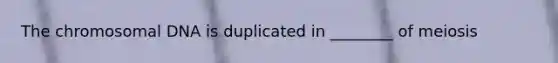 The chromosomal DNA is duplicated in ________ of meiosis