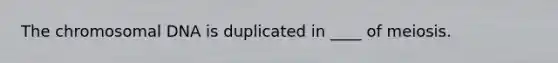The chromosomal DNA is duplicated in ____ of meiosis.