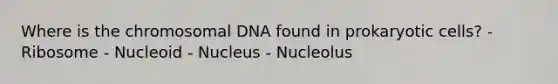 Where is the chromosomal DNA found in prokaryotic cells? - Ribosome - Nucleoid - Nucleus - Nucleolus