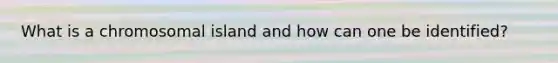 What is a chromosomal island and how can one be identified?