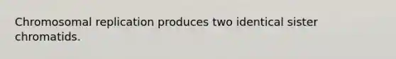 Chromosomal replication produces two identical sister chromatids.