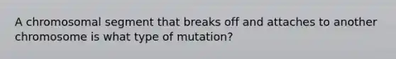 A chromosomal segment that breaks off and attaches to another chromosome is what type of mutation?